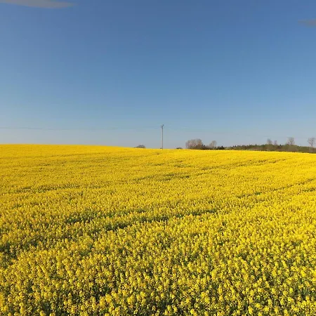 Apartment Schleipanorama *